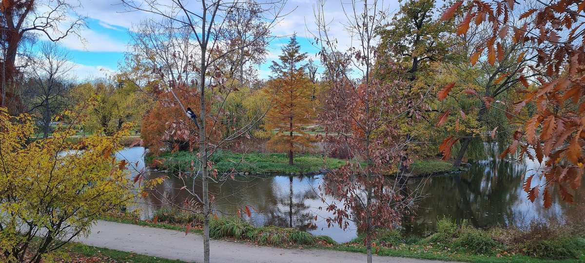 A Prague park and open space