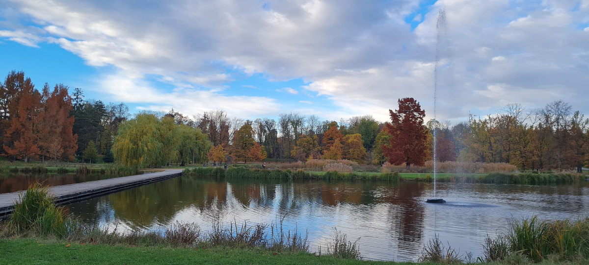 A family-friendly outdoor setting in Prague