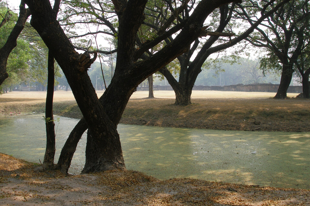 Trees and water in the Sukhothai landscape. Trees and water in the Sukhothai landscape.