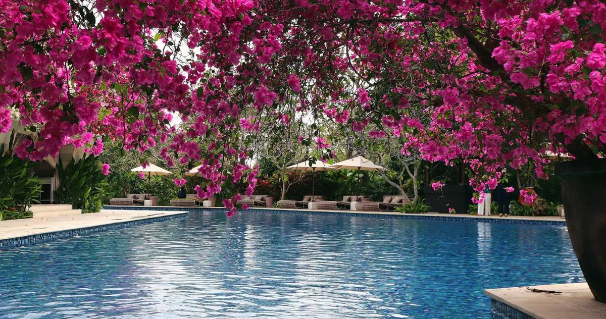 The swimming pool at RIMBA by AYANA in Jimbaran, photographed in 2022. The swimming pool at RIMBA by AYANA in Jimbaran, photographed in 2022
