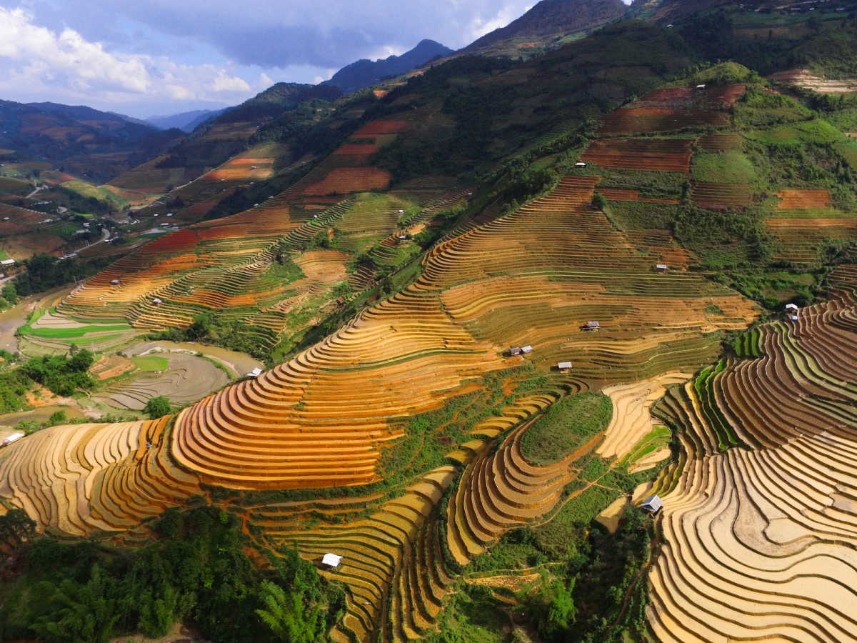 Rice terraces in Che Cu Nha, Mu Cang Chai