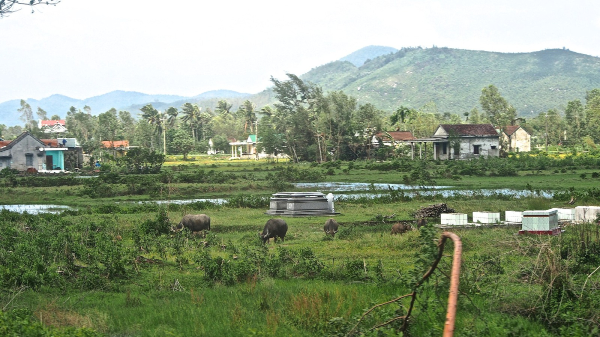 The railway landscape between Hue and Da Nang in 2013