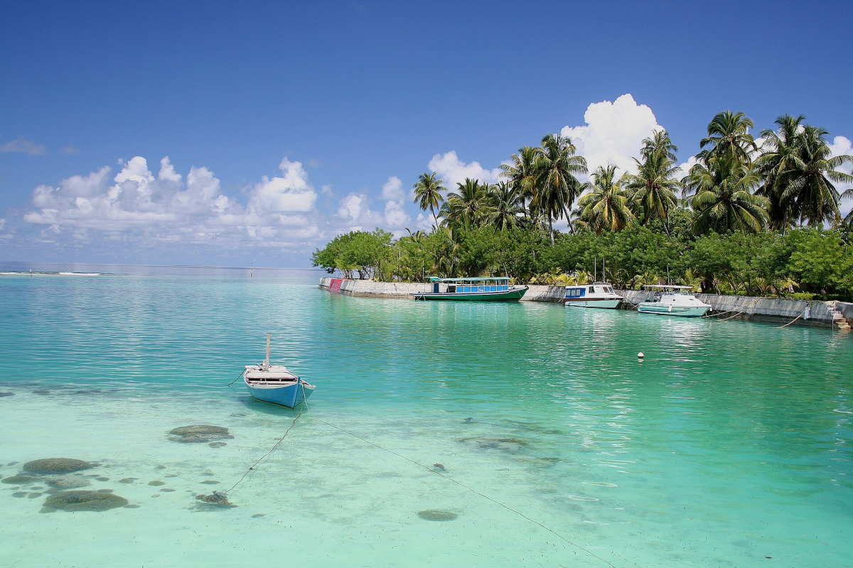 Boats and palm trees on the coast of Addu Atoll Boats and palm trees on the coast of Addu Atoll