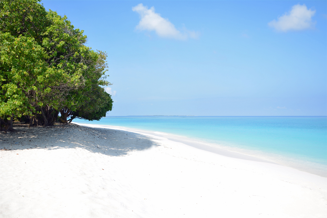 The beach on Utheemu, photographed in 2014. The beach on Utheemu, photographed in 2014.