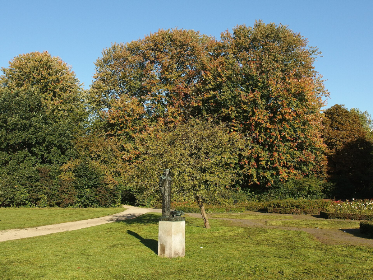 Autumn colour in Vondelpark.