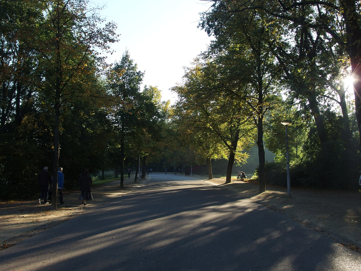 A shaded path in Vondelpark.