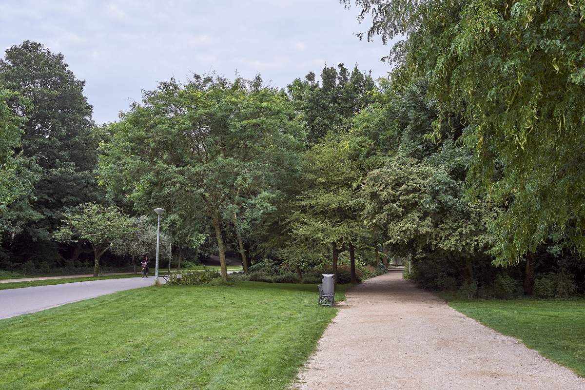 A tree-lined path in Vondelpark.