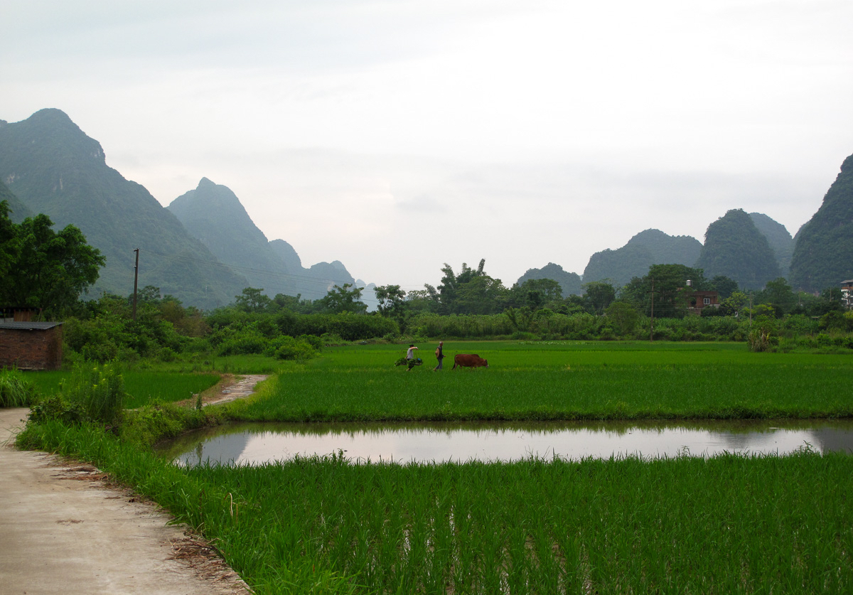 Karst hills and riverside landscape near Yangshuo Karst hills and riverside landscape near Yangshuo
