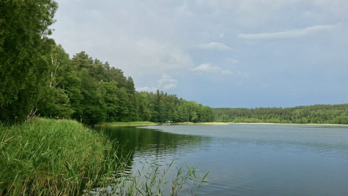 Green shore and lake in Masuria Green shore and lake in Masuria