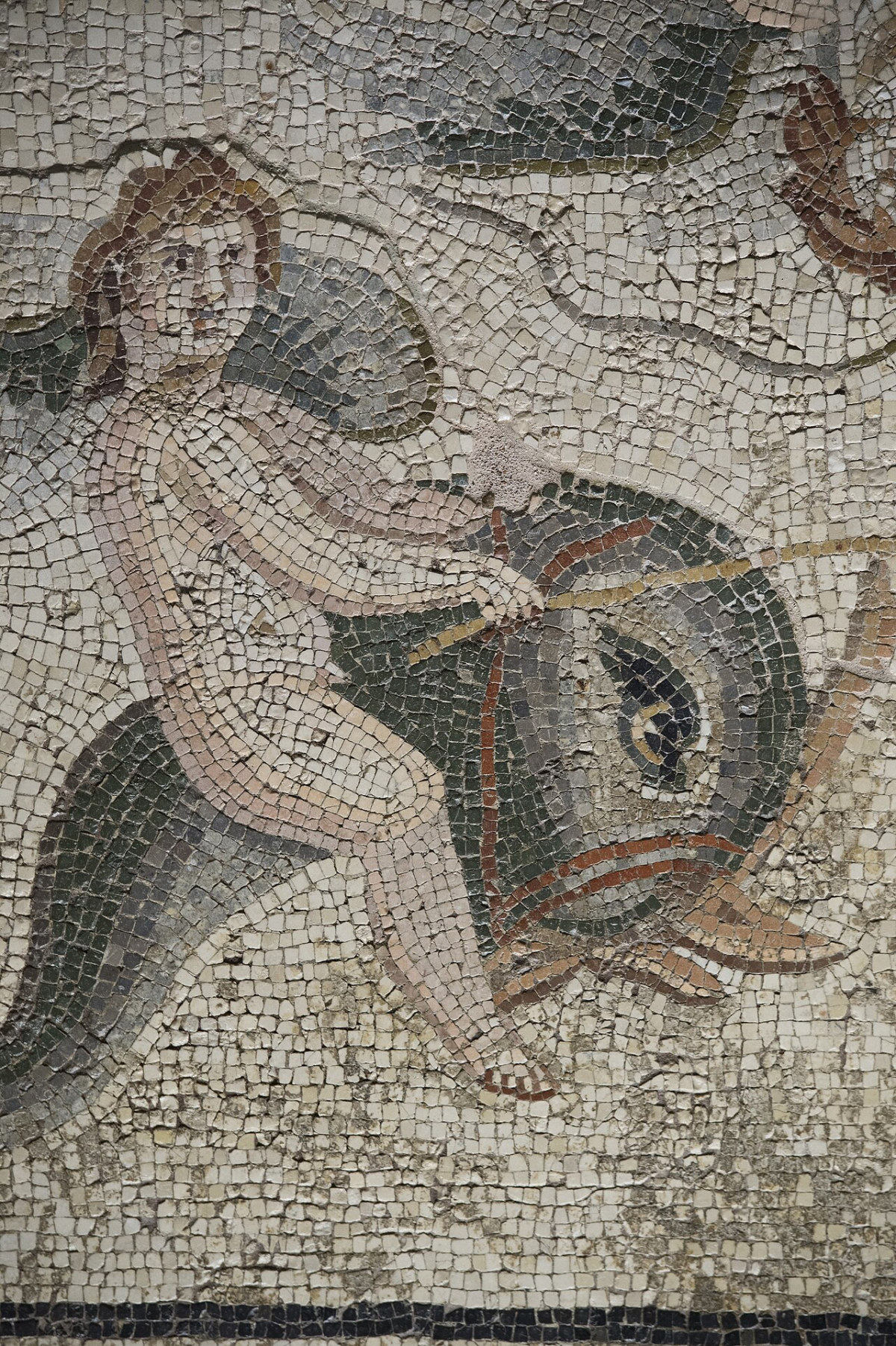 Detail of the Oceanus and Tethys mosaic at the Zeugma Mosaic Museum