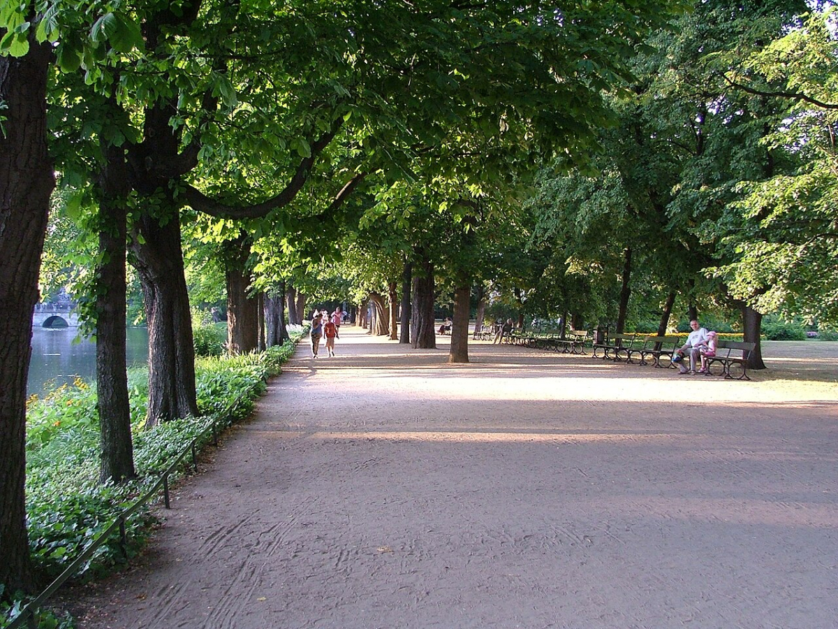 Path and trees in Warsaw’s Łazienki Park