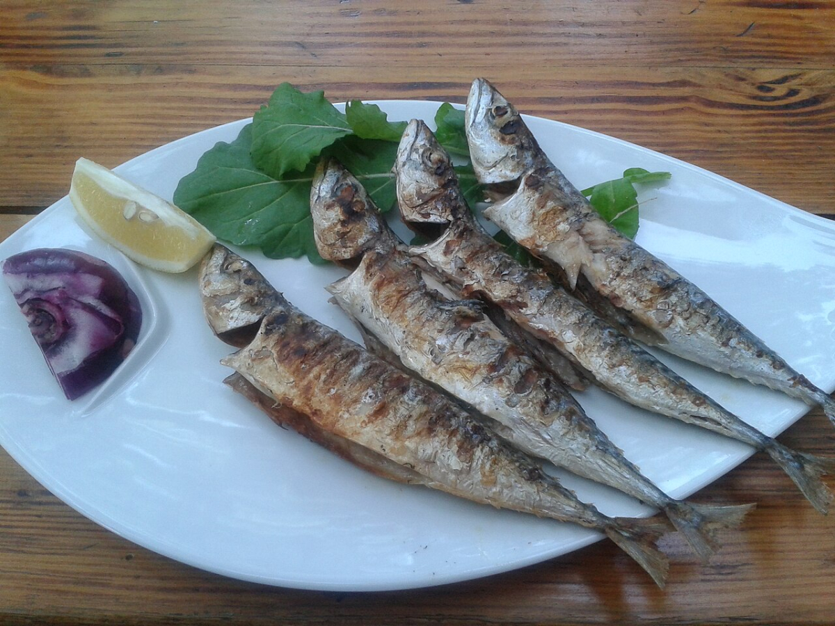 Grilled mackerel served as a Turkish seafood meal