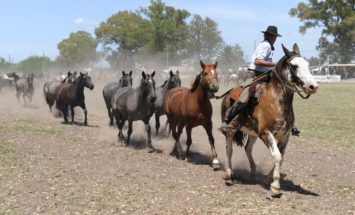 gauchos in Argentina Pampas