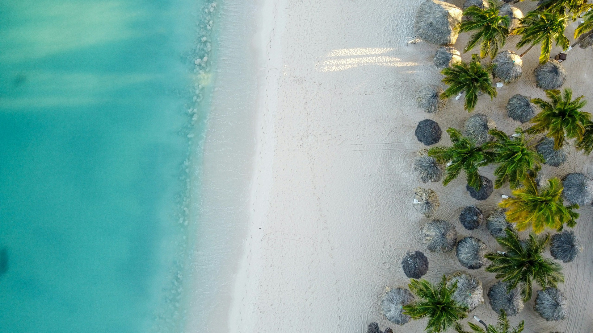 Aerial view of turquoise water, white sand, palm trees and thatched beach umbrellas at Palm Beach, Aruba