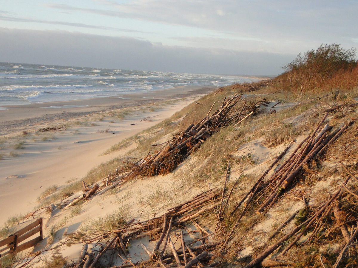 Baltic beach and coastal dunes in Curonian Spit National Park Baltic beach and coastal dunes in Curonian Spit National Park