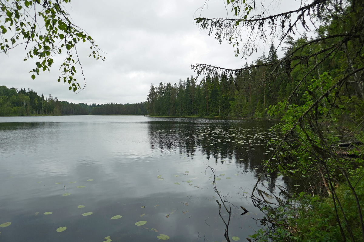 Small lake in Valdaysky National Park Small lake in Valdaysky National Park