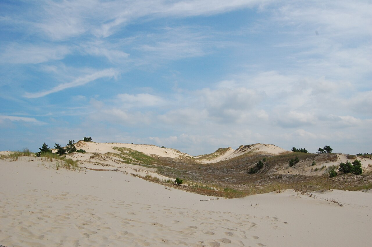 Protected dunes in Słowiński National Park