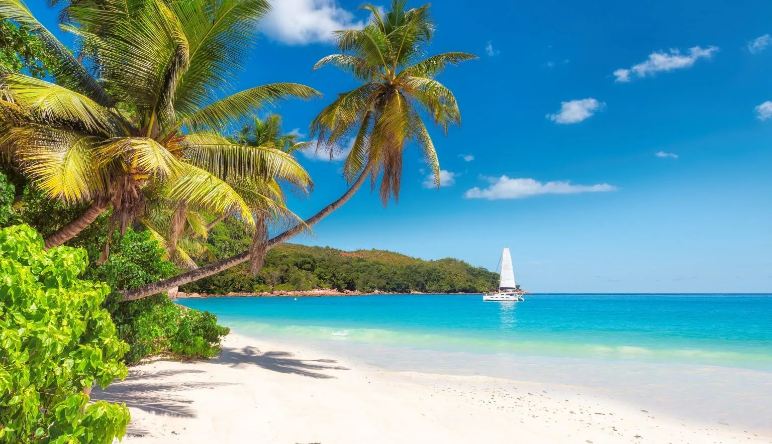Turquoise Caribbean water and a palm-framed white-sand beach in Jamaica