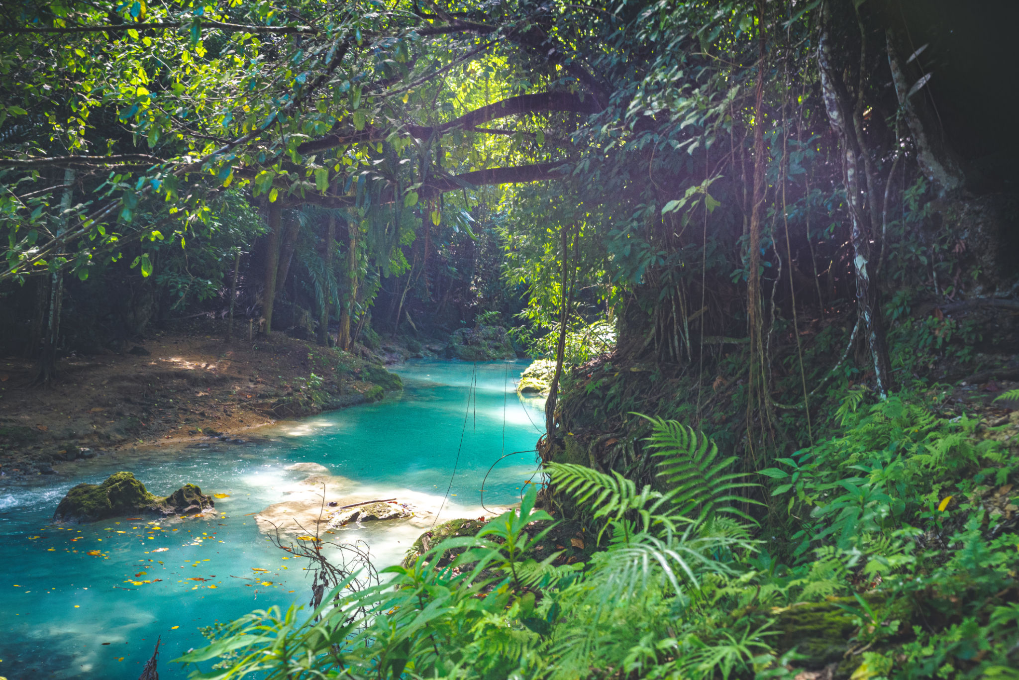 Lush rainforest landscape in Jamaica with a clear turquoise river, highlighting nature conservation and responsible travel