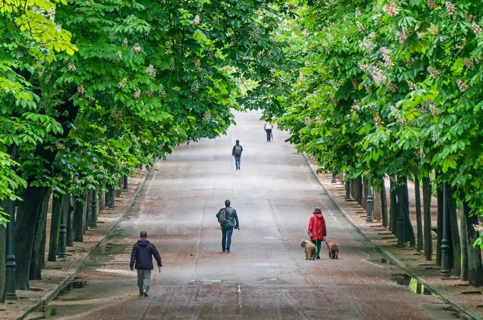 Madrid Sustainable Tourism – Explore Madrid Responsibly People walking along a tree-lined path in Madrid’s Retiro Park, highlighting the city’s green and walkable environment
