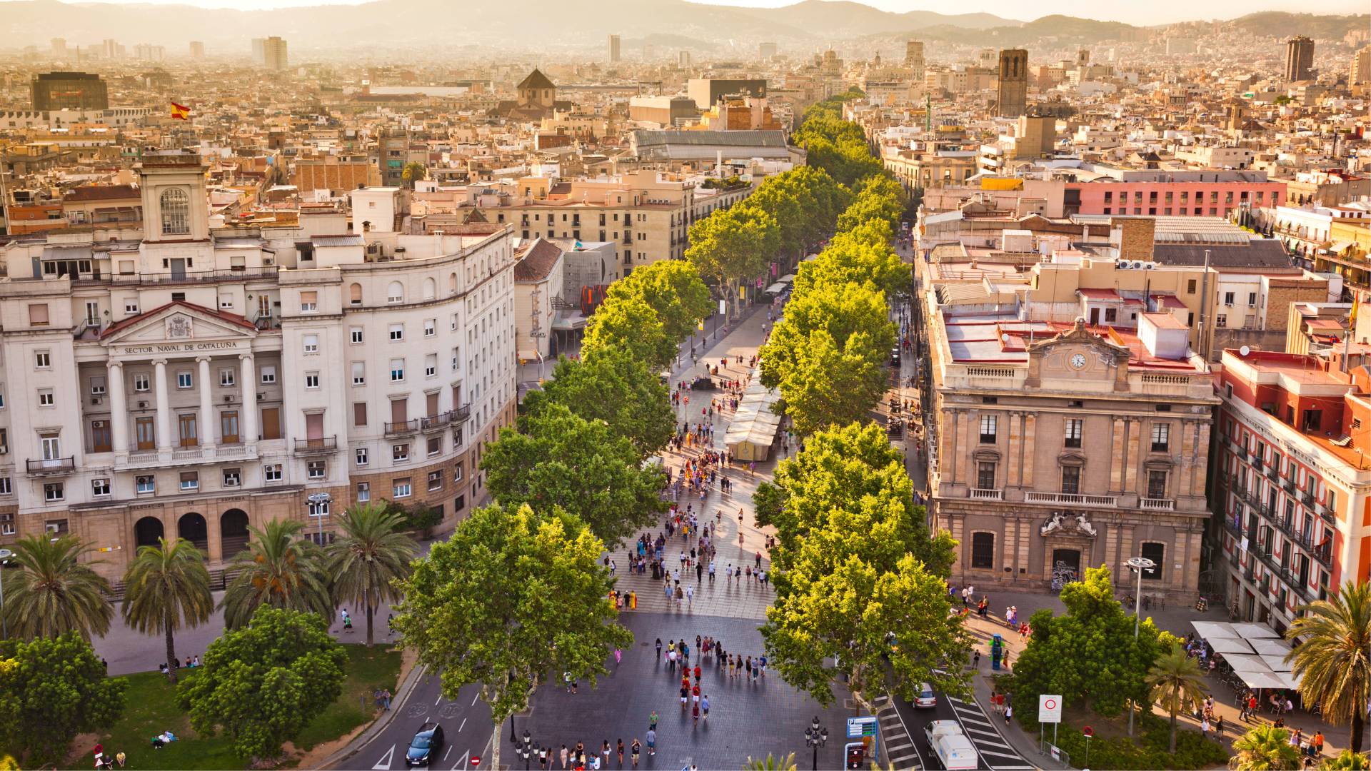 A wide cityscape view in Spain with tree-lined boulevards, historic buildings and people enjoying the warm Mediterranean lifestyle