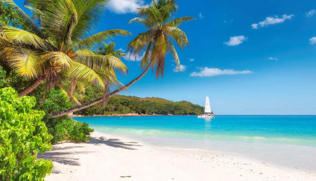 Jamaica’s best beaches range from calm, sheltered bays to scenic tropical shores where the pace is slow and the views are wide open.