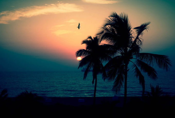 Florida Sunset