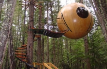 Spherical Tree House