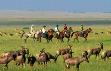 Horseback safari in the Masai Mara, Kenya