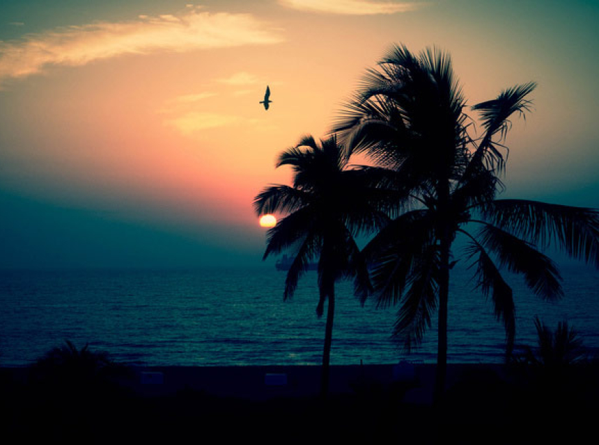 Florida Sunset