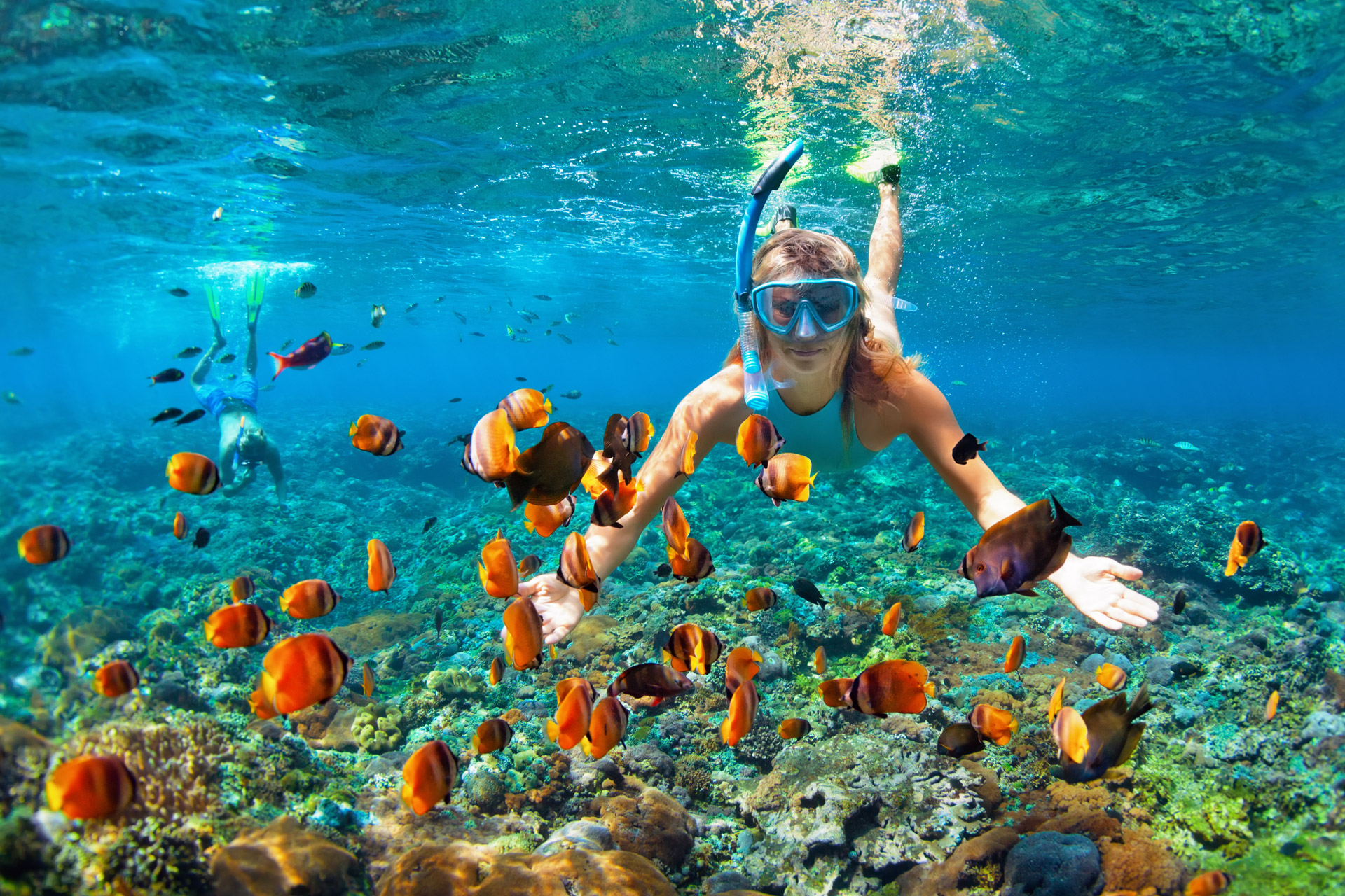 Snorkeling with tropical fish in the crystal-clear waters of the Virgin Islands